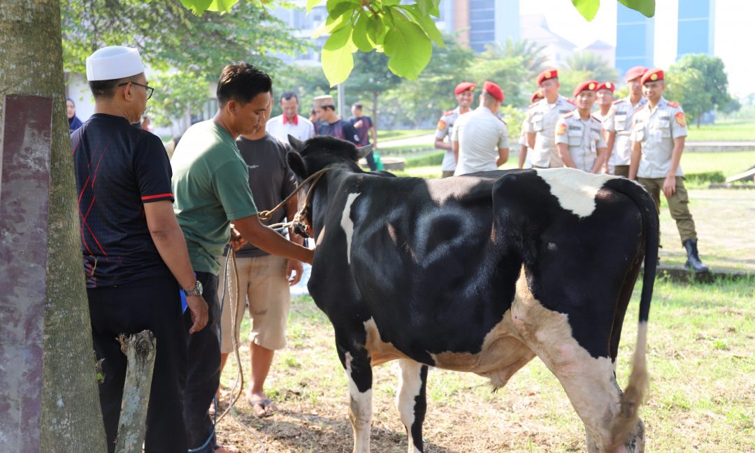 Poltek SSN Selenggarakan Pemotongan Hewan Qurban Dalam Rangka Memperingati Hari Raya Idul Adha 1445H